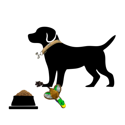 Kafshët e Shoqërimit