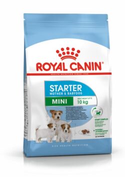 Royal Canin SHN MINI STARTER M&B 1kg