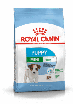 Royal Canin SHN MINI JUNIOR