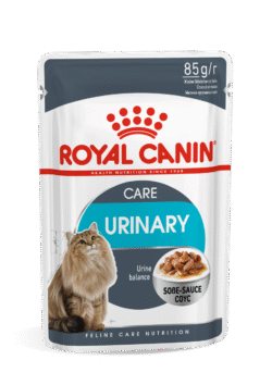 Royal Canin URINARY CARE 12X85G
