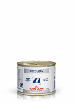 Royal Canin RECOVERY FEL/CAN CAN 195G