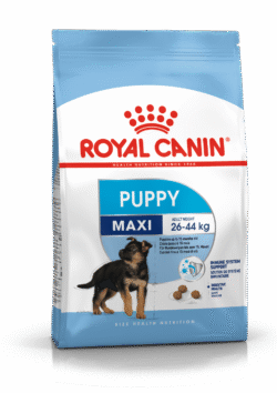 Royal Canin SHN MAXI JUNIOR 15 KG