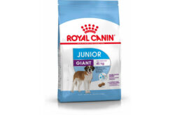 Royal Canin SHN GIANT JUNIOR 15KG