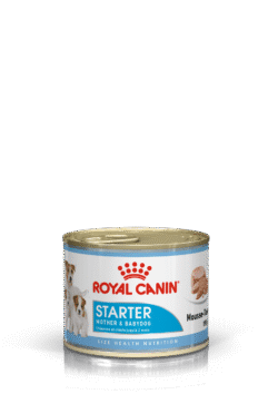 Royal Canin STARTER MOUSSE 195G