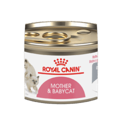 Royal Canin MOTHER & BABYCAT 195G