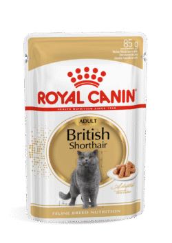 Royal Canin BR SHORTHAIR 12X85G INT1 17C