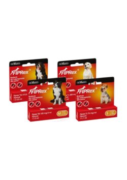 Fiprex dog