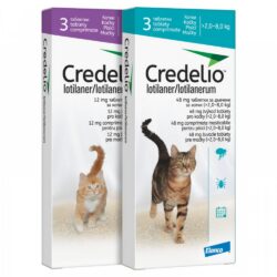 Credelio cat