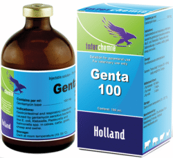Genta-100 inj.