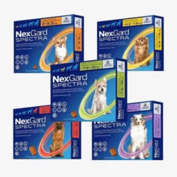 Nexgard Spectra