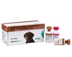 Novibac  Puppy  DP