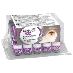 Purevax RCPCh
