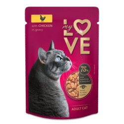 My love cat with chicken in gravy