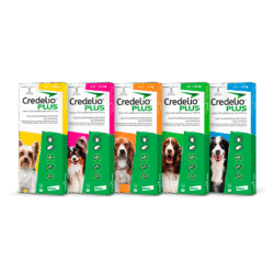 Credelio plus
