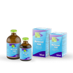 Ketosol-100 inj.