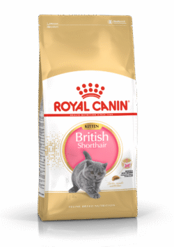 Royal Canin FBN BRITISH KITTEN 2KG
