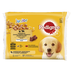 Pedigree  Junior  B&C 4*100Gr