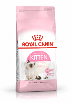 Royal Canin FHN KITTEN