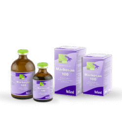 Marbosan-100 inj.