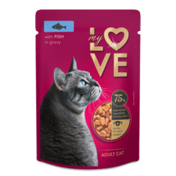 My  love cat with fish in gravy