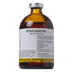 Vitaflash inj. 100 ml